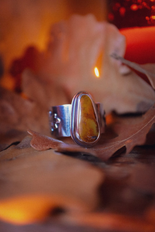 the Burr Oak Ring